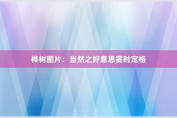 桦树图片：当然之好意思霎时定格