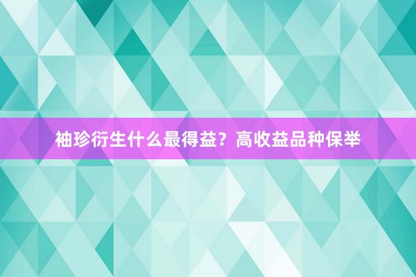 袖珍衍生什么最得益？高收益品种保举