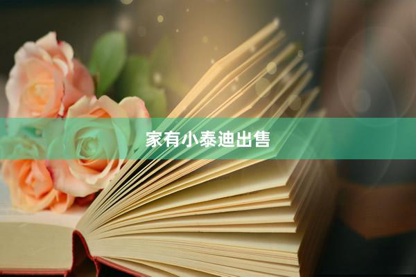 家有小泰迪出售